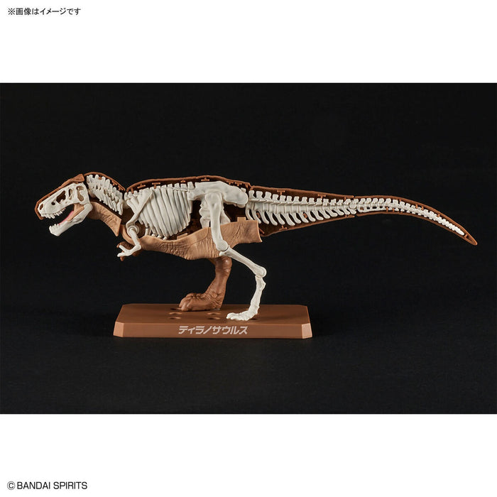 Plannosaurus Non-Scale Tyrannosaurus