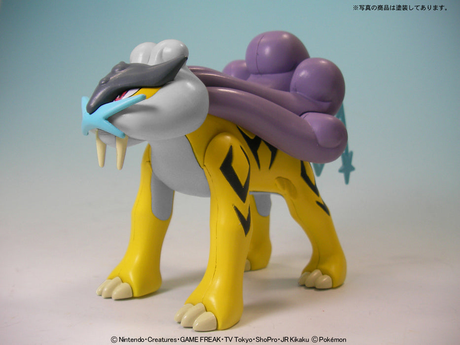 Pokemon Model Kit RAIKOU