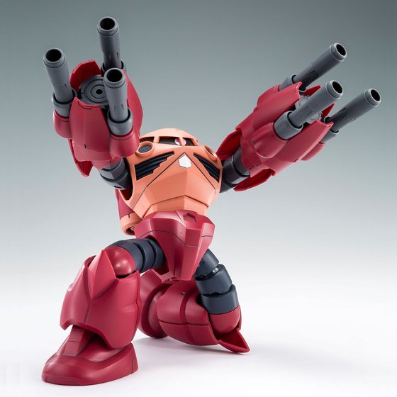 Premium Bandai High Grade (HG) HGBF 1/144 Amazing Z'Gok