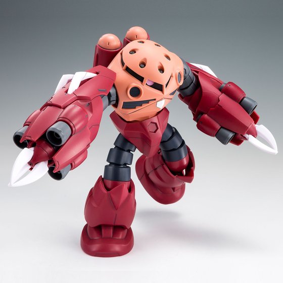 Premium Bandai High Grade (HG) HGBF 1/144 Amazing Z'Gok