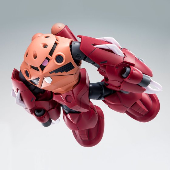 Premium Bandai High Grade (HG) HGBF 1/144 Amazing Z'Gok