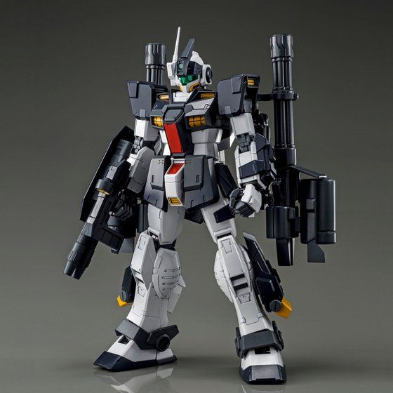 Premium Bandai Master Grade (MG) 1/100 RGM-79DO GM Dominance (Philip Hugh's Custom)