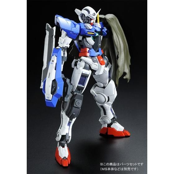Premium Bandai Real Grade (RG) 1/144 Parts for RG Gundam Exia Repair