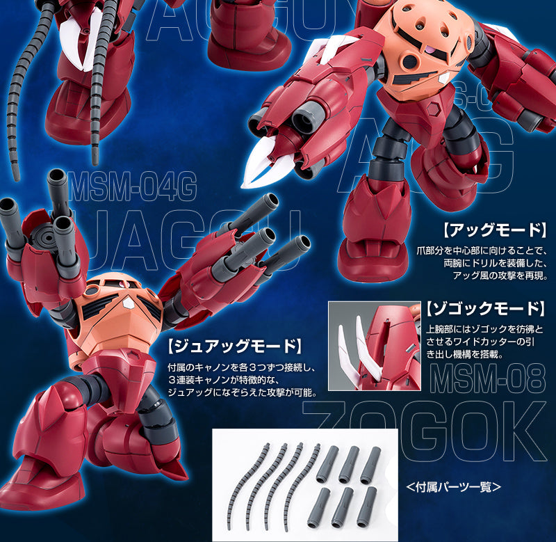 Premium Bandai High Grade (HG) HGBF 1/144 Amazing Z'Gok