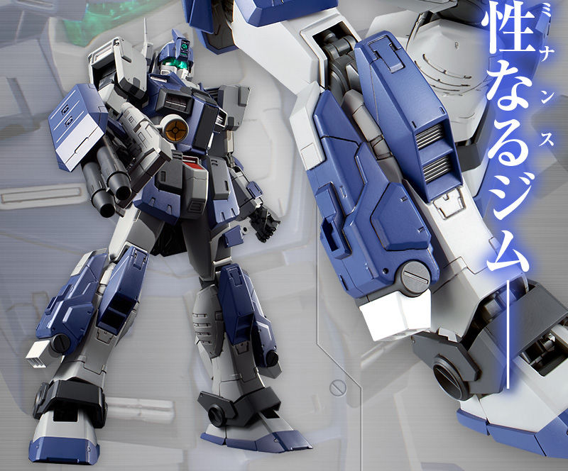 Premium Bandai Master Grade (MG) 1/100 RGM-79DO GM Dominance