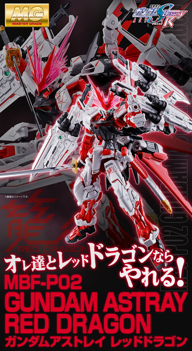 Premium Bandai Master Grade (MG) 1/100 MBF-P02 Gundam Astray Red Dragon