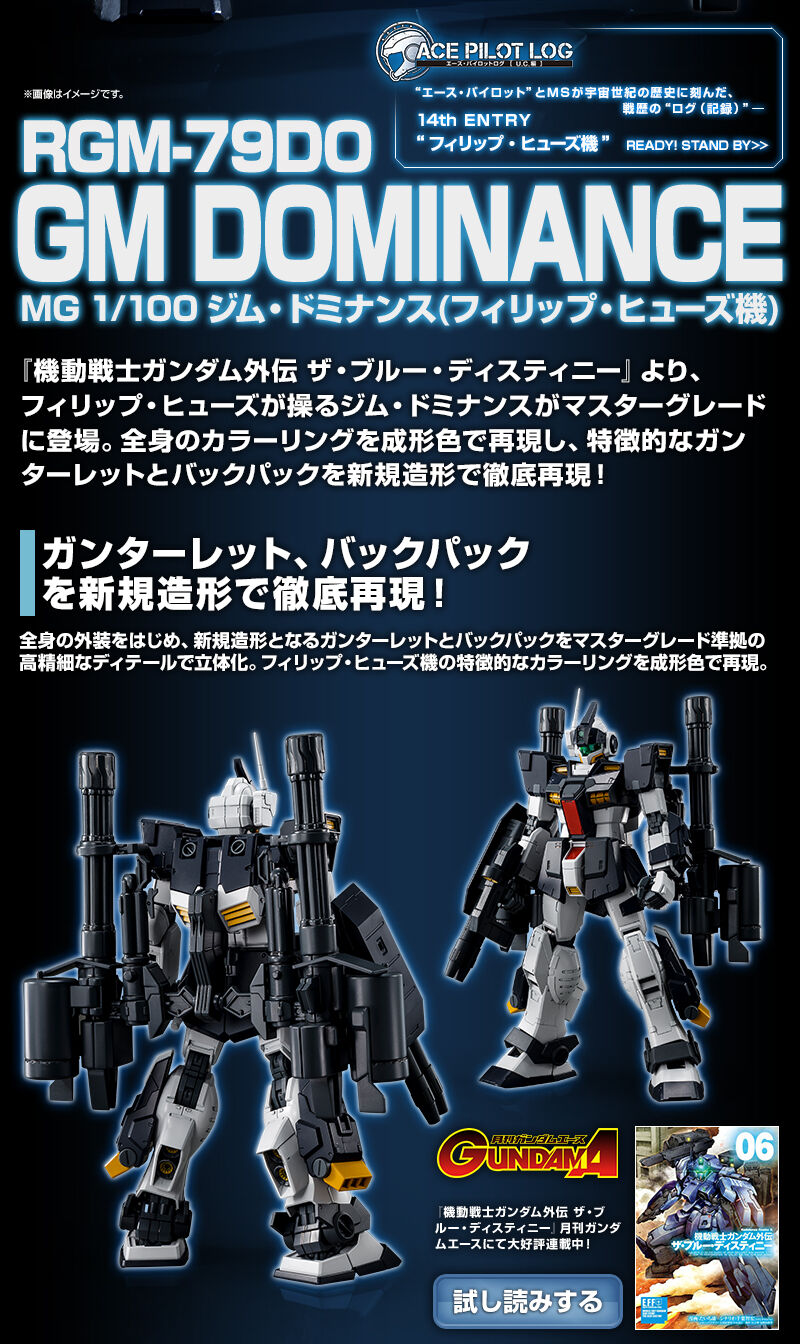 Premium Bandai Master Grade (MG) 1/100 RGM-79DO GM Dominance (Philip Hugh's Custom)