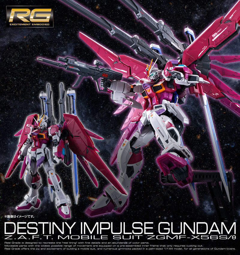 Premium Bandai Real Grade (RG) 1/144 Destiny Impulse Gundam