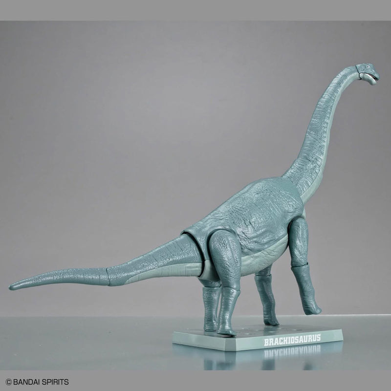 Plannosaurus Non-Scale Brachiosaurus