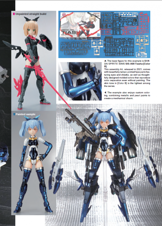 Model Art - Mastering Metal Painting (English Ver.)