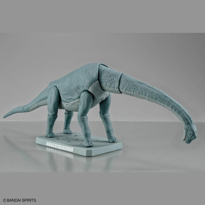 Plannosaurus Non-Scale Brachiosaurus