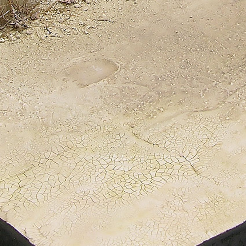 AK Interactive Diorama Series AK8033 - Light & Dry Crackle Effects 100ml