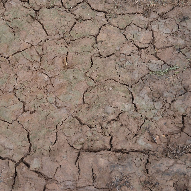 AK Interactive Diorama Series AK8034 - Wet Crackle Effects 100ml