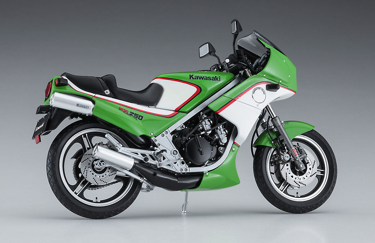 Hasegawa 1/12 Kawasaki KR250 (KR250A) - Argama Hobby - Vaughan