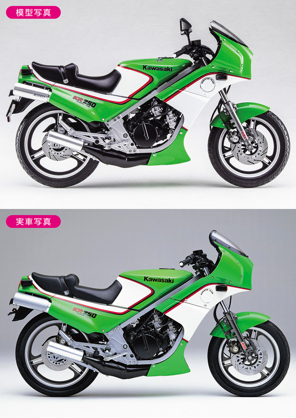 Hasegawa 1/12 Kawasaki KR250 (KR250A) - Argama Hobby - Vaughan