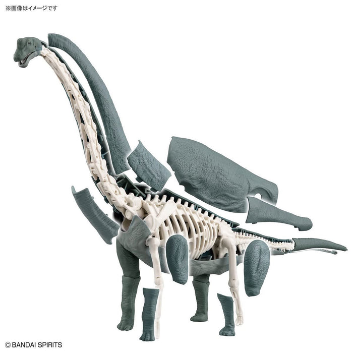 Plannosaurus Non-Scale Brachiosaurus