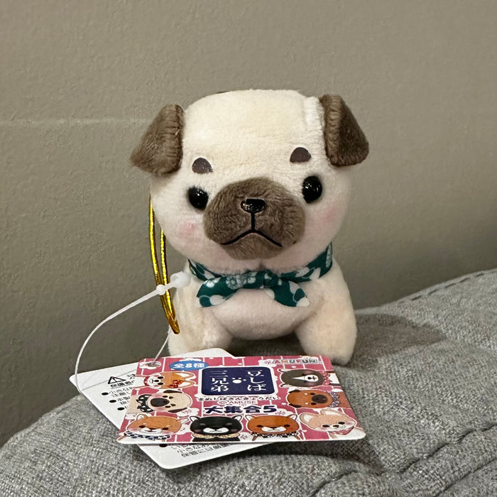 Amufun Mini Mascot - Mameshiba Sankyoudai (豆しば三兄弟) - Pugbe (パグ兵衛) 8cm