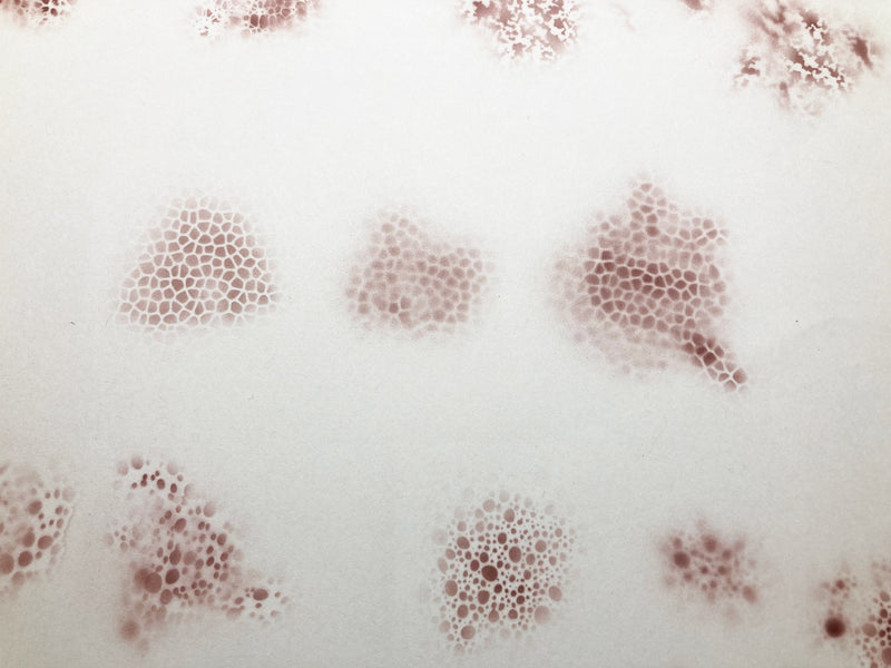 Madworks MT44 Leather Texture Stencil