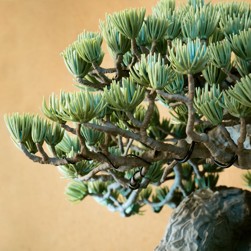 Premium Bandai SRL (Specimen Research Lab) x BANDAI SPIRITS . BONSAI Model Kit