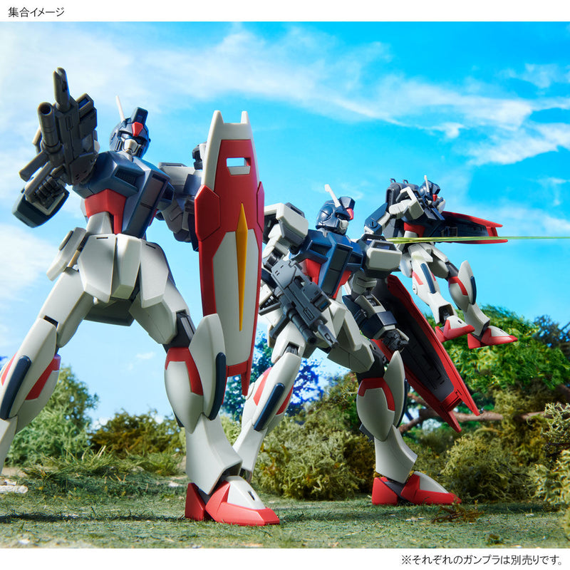 Premium Bandai High Grade (HG) HGCE 1/144 GAT-01 Strike Dagger