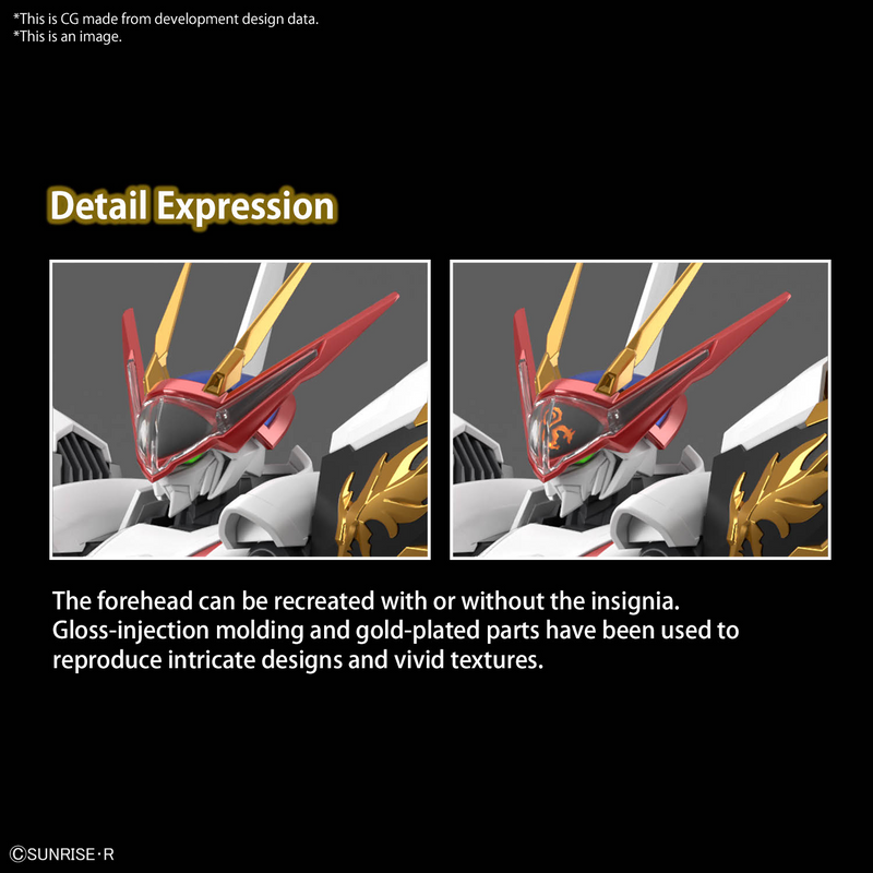 High Grade (HG) Amplified IMGN Ryuoumaru (龍王丸)