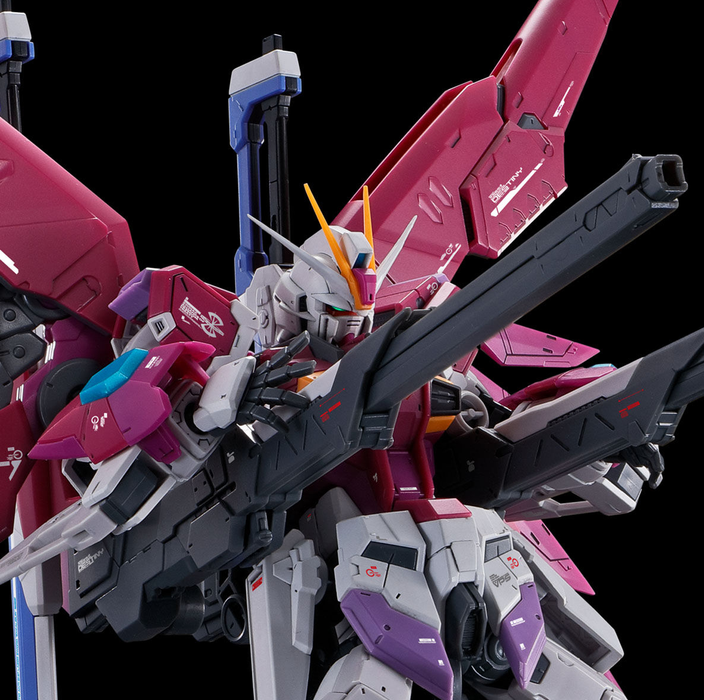 Premium Bandai Real Grade (RG) 1/144 Destiny Impulse Gundam