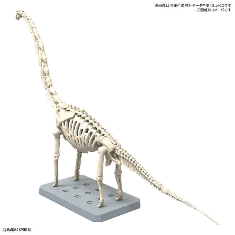 Plannosaurus Non-Scale Brachiosaurus