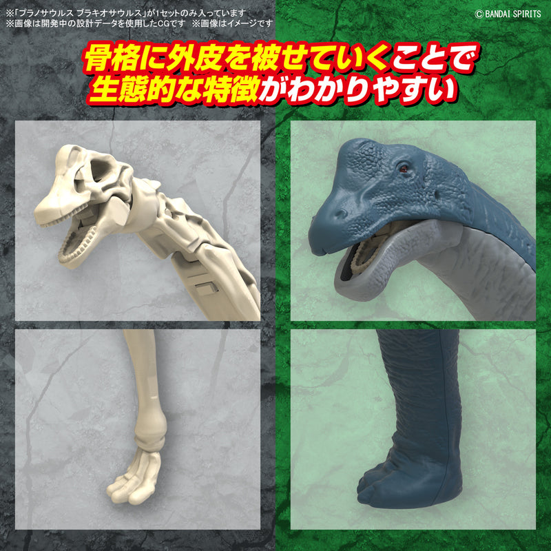 Plannosaurus Non-Scale Brachiosaurus