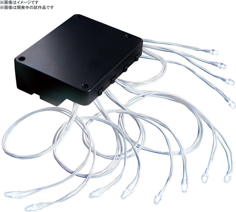 LED Unit (White) 12-Light