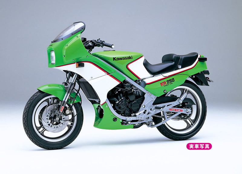 1/12 Kawasaki KR250 (KR250A)