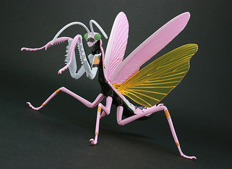 Biology Edition Series - Evangelion Edition T.Aridifolia / Giant Mantis Evangelion Production Model-08 (EVA08)