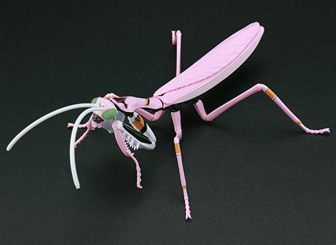 Biology Edition Series - Evangelion Edition T.Aridifolia / Giant Mantis Evangelion Production Model-08 (EVA08)