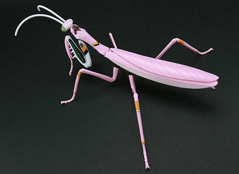 Biology Edition Series - Evangelion Edition T.Aridifolia / Giant Mantis Evangelion Production Model-08 (EVA08)