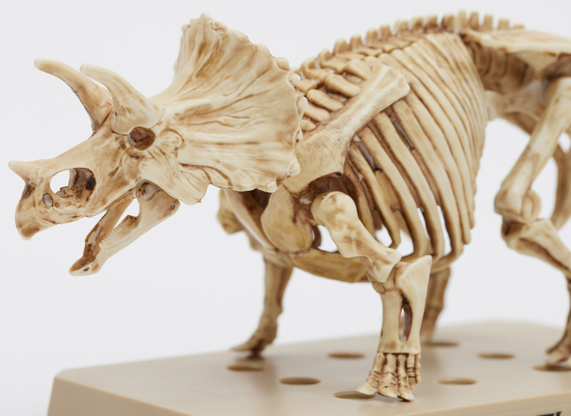 Plannosaurus Marker PSMS02 - Triceratops/Stegosaurus Marker Set