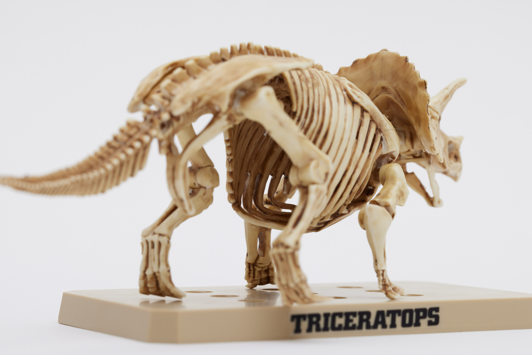 Plannosaurus Marker PSMS02 - Triceratops/Stegosaurus Marker Set