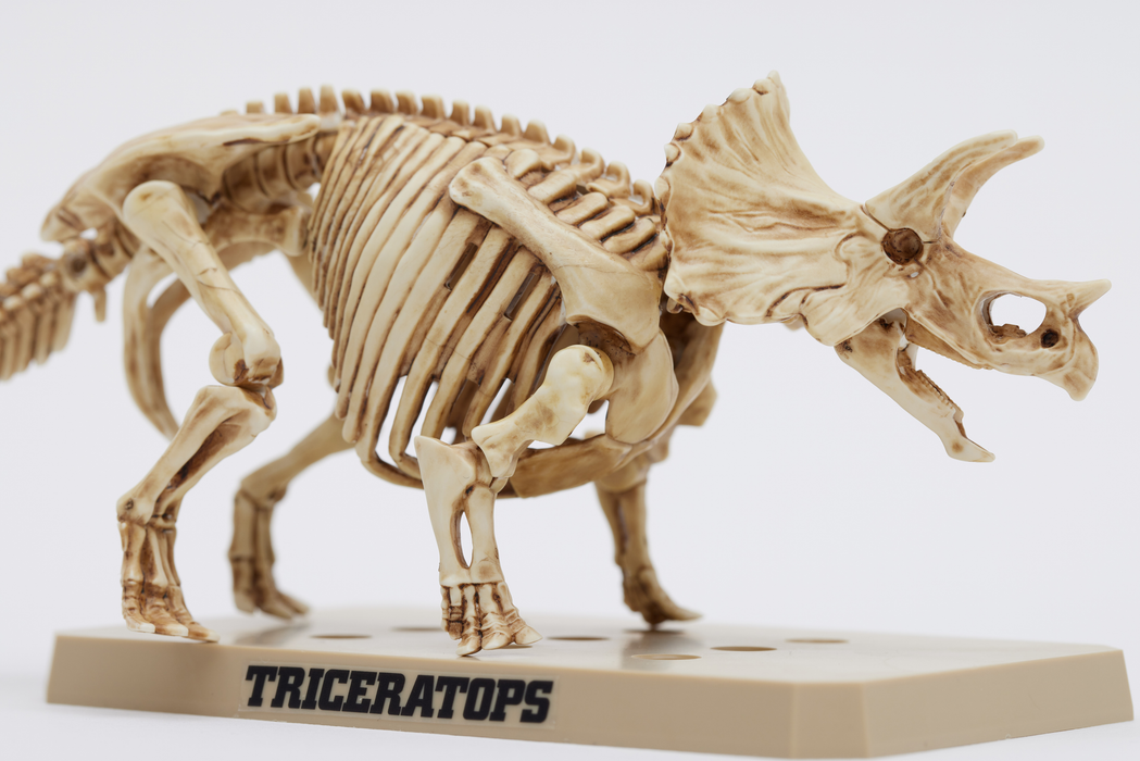 Plannosaurus Marker PSMS02 - Triceratops/Stegosaurus Marker Set