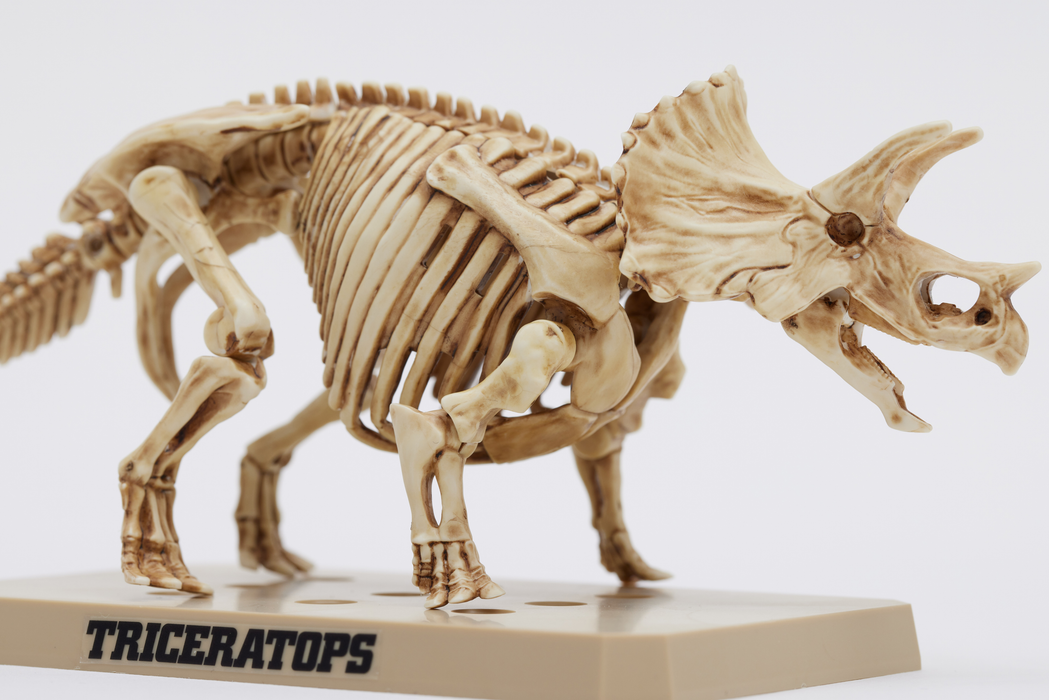 Plannosaurus Marker PSMS02 - Triceratops/Stegosaurus Marker Set