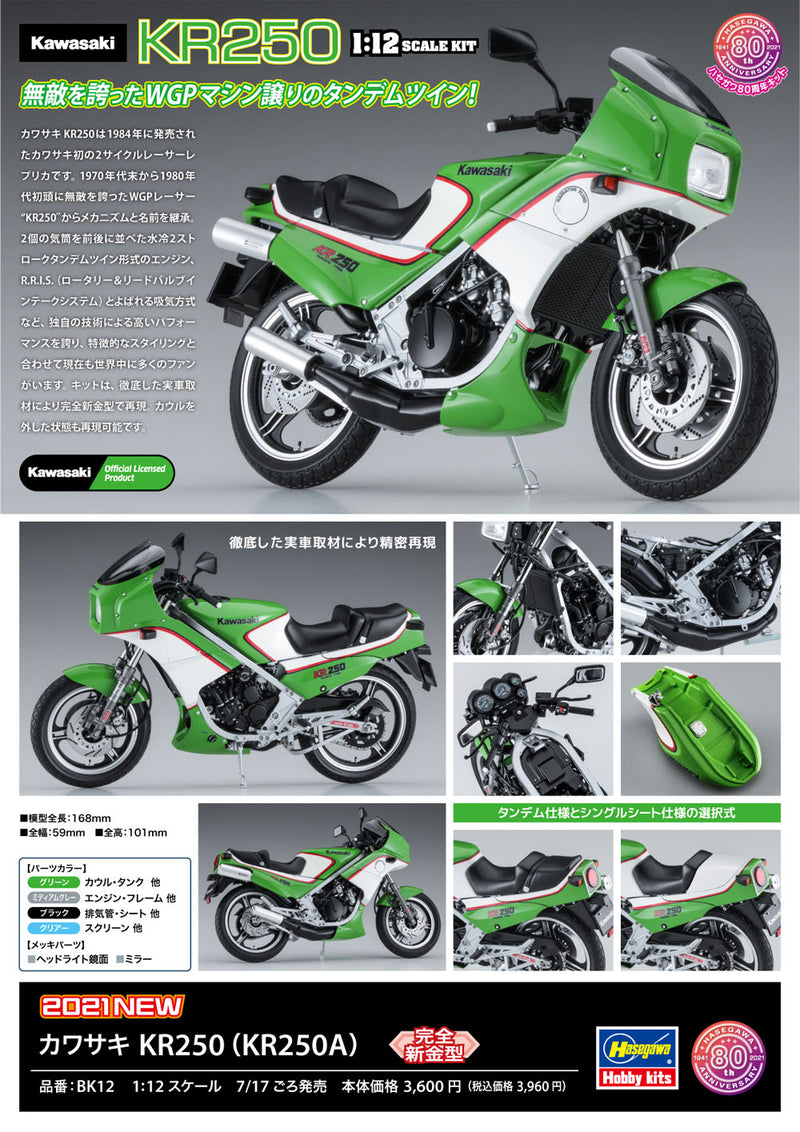 1/12 Kawasaki KR250 (KR250A)