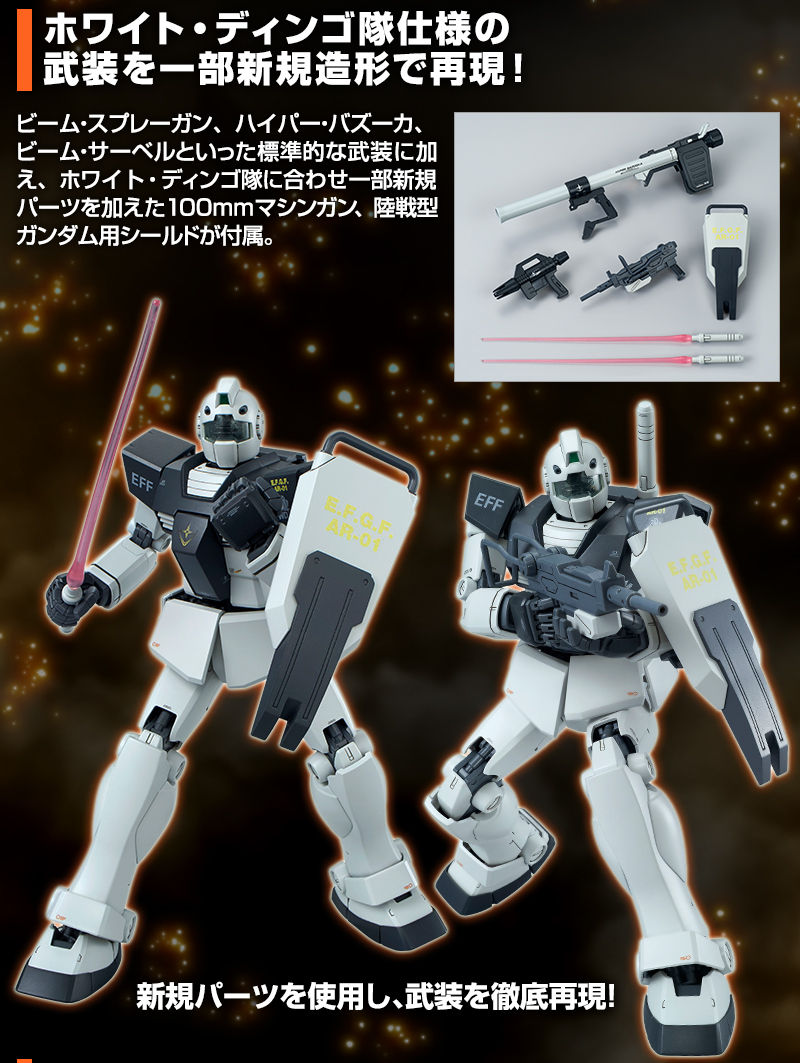 Premium Bandai Master Grade (MG) 1/100 RGM-79 GM (White Dingo Team Custom)