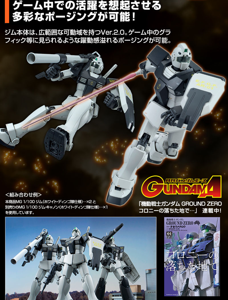 Premium Bandai Master Grade (MG) 1/100 RGM-79 GM (White Dingo Team Custom)
