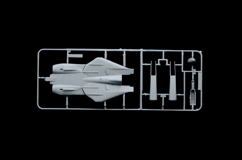 1/72 F14-A Tomcat 50th First Flight Anniversary (Italeri 1414)