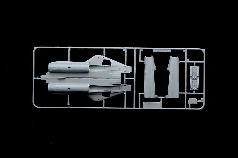 1/72 F14-A Tomcat 50th First Flight Anniversary (Italeri 1414)