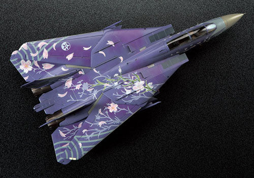 Ace Combat 1/72 F-14D Tomcat "Cherry Blossom" (Hasegawa SP-291)