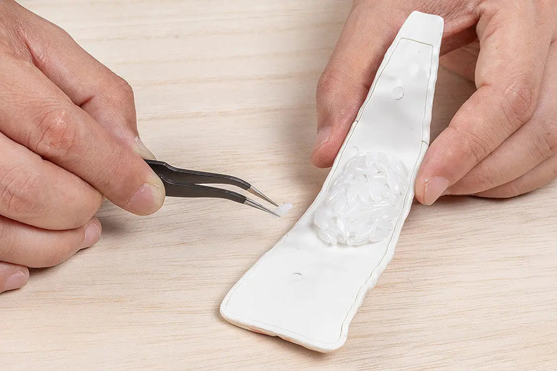 1/1 Sushi Plastic Model: Conger Eel