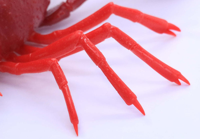 Biology Edition 24 Crayfish (Red)