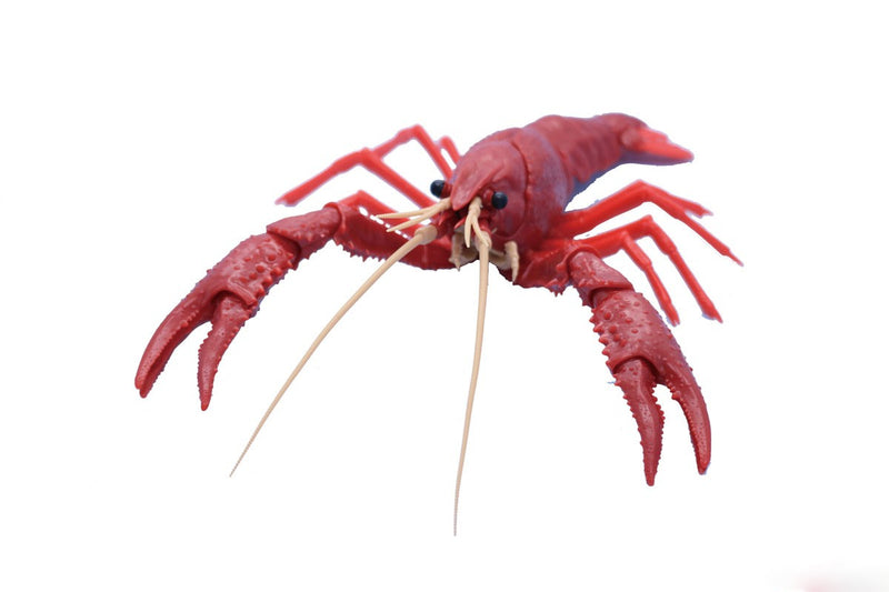 Biology Edition 24 Crayfish (Red)