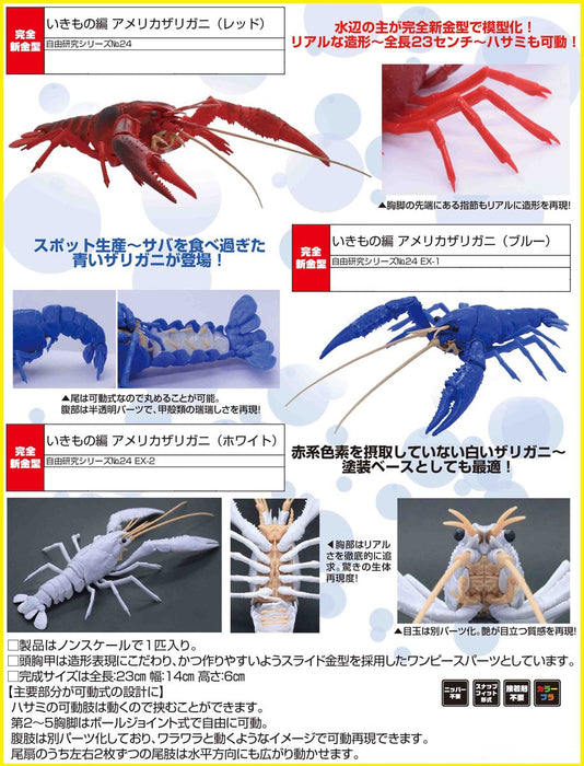 Biology Edition 24 Crayfish (Red)