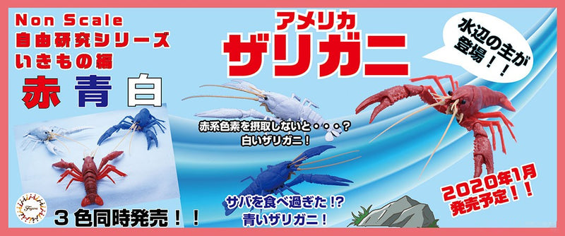 Biology Edition 24 Crayfish (Red)