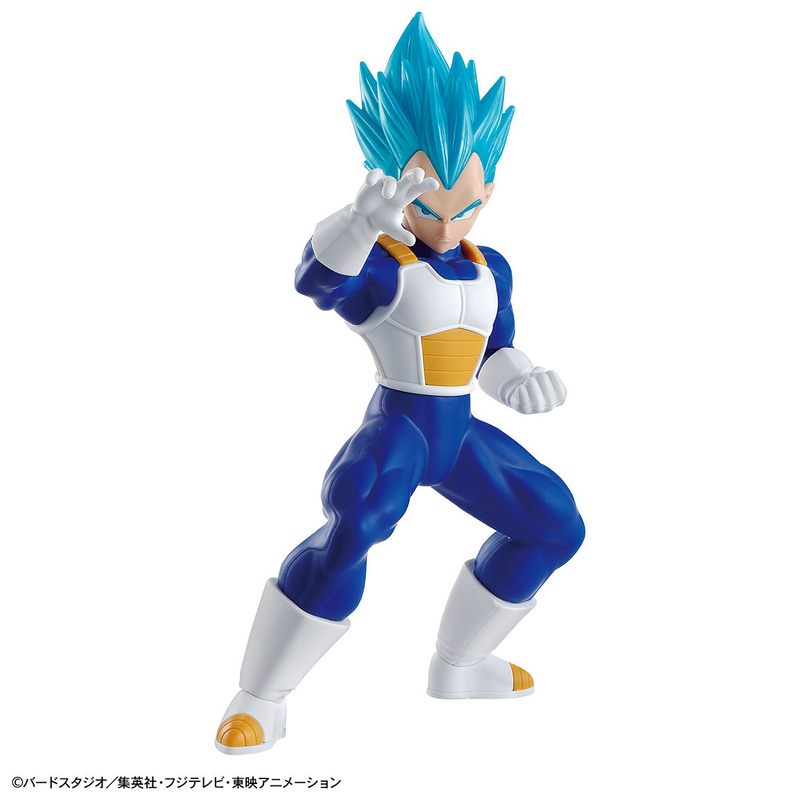 Entry Grade (EG) Dragon Ball Super Saiyan God Super Saiyan Vegeta