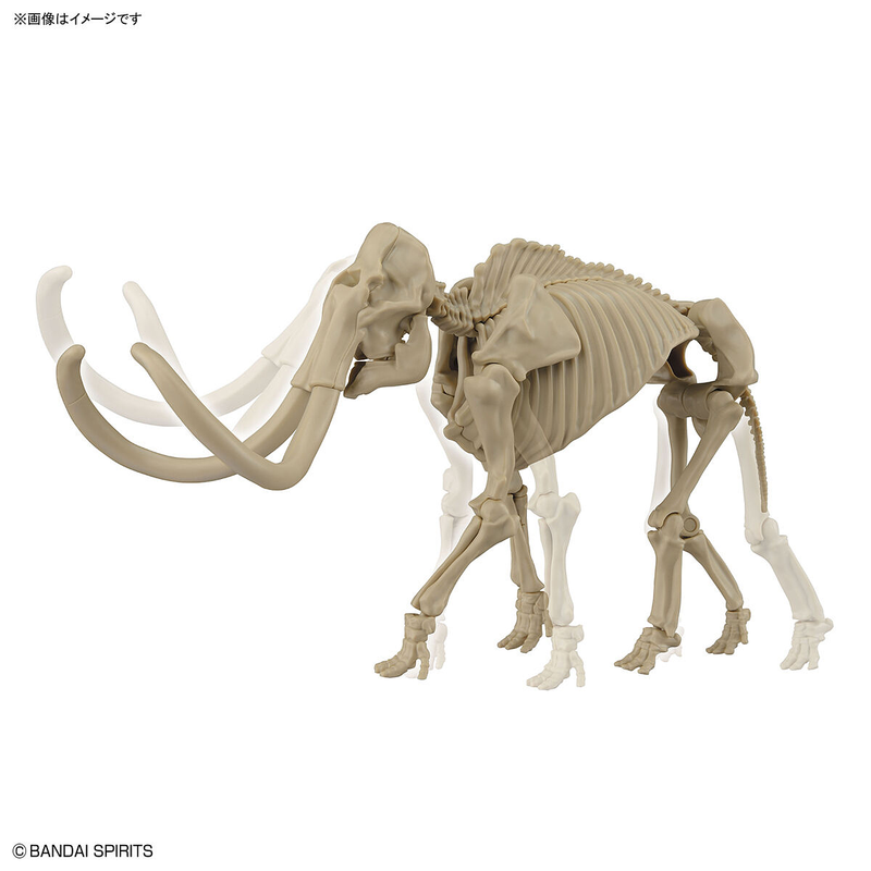 Exploring Lab Nature Non-Scale Mammoth
